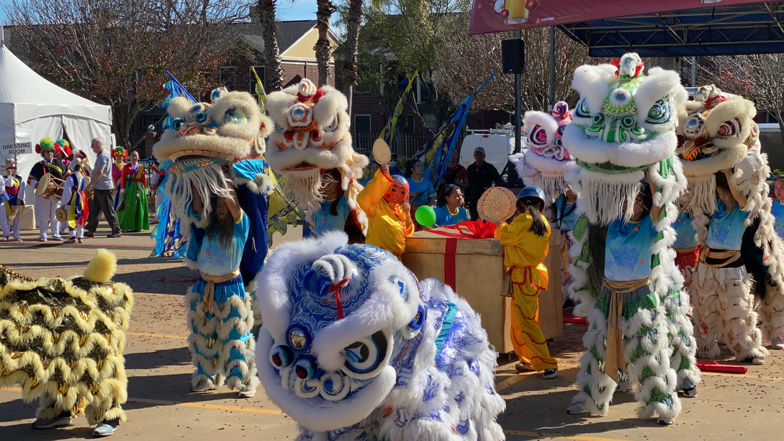 The Lion Dance & Dragon Dance